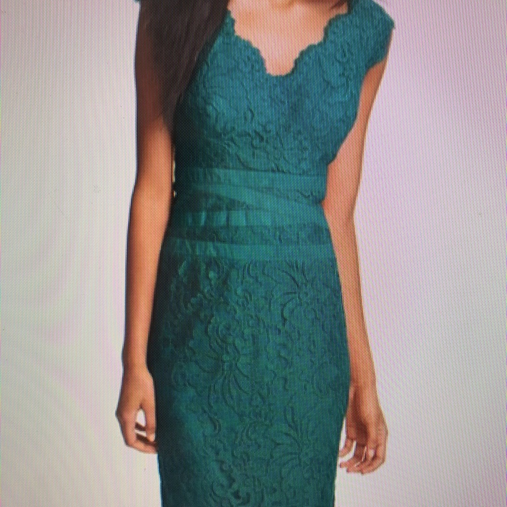 Tadashi Shoji Embroidered Lace Dress